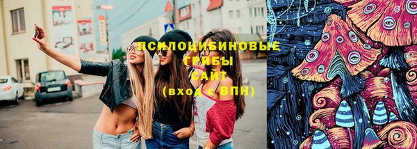 тгк Покров